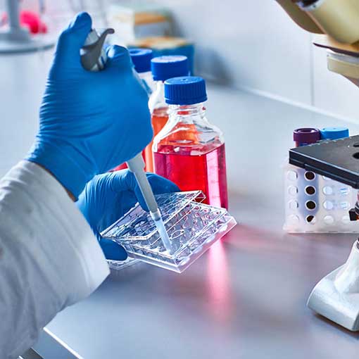 Laboratory-Services-Single-v2